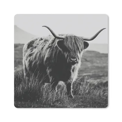 Produktbild von MuchoWow® Mauspad Mousepad Schottischer Hochlandbewohner - Natur - Kühe - Tiere - Schwarz und weiß 30x30 cm - Mousepads - Maus Mat - Pad - Mausunterlage - Gaming