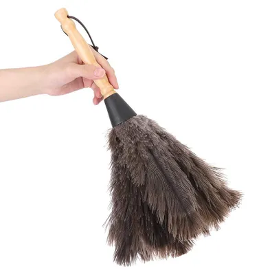 Image de Plume d'autruche pour dépoussiérer - Antistatique avec manche en bois - Élimine la poussière - Douce et réutilisable