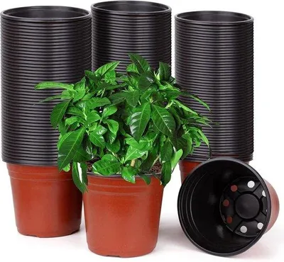 Obrázok produktu pre Sada 200 plastových pestovateľských nádob, 10 cm – ideálne pre sukulenty – na rezanie a presádzanie – veľké, 97 x 87 cm
