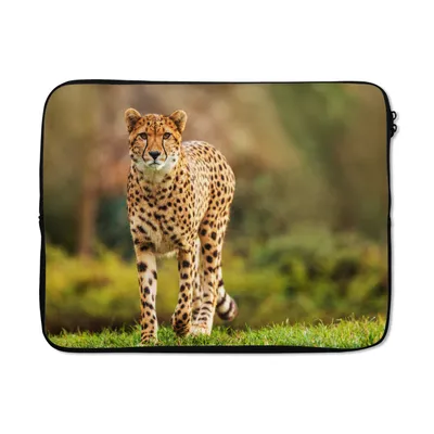 Produktbild von MuchoWow® Laptop Hülle 17 Zoll Laptoptasche Wildtiere - Gras - Leopard - Natur - Zipper - Schutzabdeckung