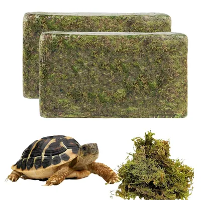 Immagine prodotto di 800 g di muschio naturale per terrario