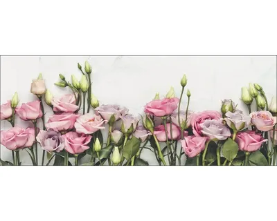 Produktbild von Glasbild Peonies V GLA2086 80x30 cm