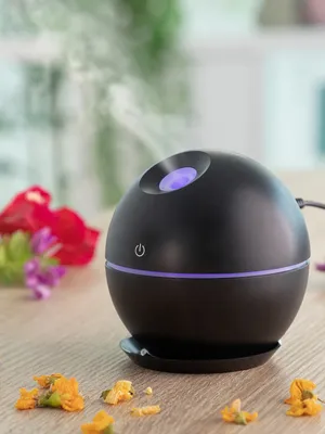 Immagine prodotto di Mini-Humidor Aroma-Diffusore Nero InnovaGoods