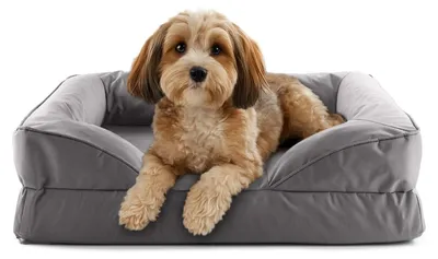 Produktbild von Lumaland orthopädisches Hundebett Outdoor & Indoor | ergonomisches Hundesofa 70x