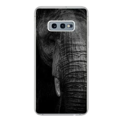 Produktbild von MuchoWow® Handyhülle Schutzhülle Hülle für Samsung Galaxy S10e Elefant - Tier - Porträt Silikon Softcase Handy Hülle - Handy