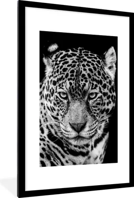 Produktbild von MuchoWow® Gerahmtes Poster Leopard - Tiere - Schwarz - Weiß - Porträt 60x90 cm - Poster mit Schwarzem Bilderrahmen Wandposter Rahmen Foto Bilder - Dekoration - Wandposter Wohnzimmer - Hochwertig