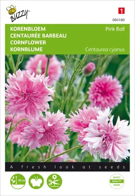 Artikelbild 2 von 'Kornblume Pink Ball' aus der Kategorie Kornblumensamen