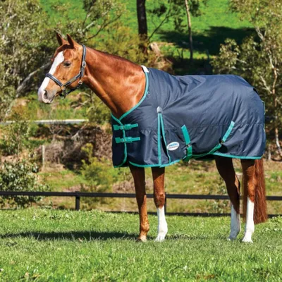 Produktbild von Weatherbeeta Comfitec Classic Standard Medium 220g - black/green, 160