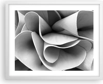 Produktbild von Gerahmtes Poster - Weißer Rahmen - Material Ornament Stück - 50x40 cm - Wand Bild - Wanddeko - Wandbilder - Kunstposter - Wandposter - Bilderrahmen - Bilder - Kunstdruck - P2WAA50x40-4993