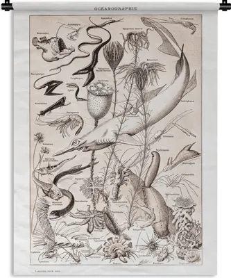 Produktbild von MuchoWow® Wandteppich Wandbehang Meerestiere - Meer - Schwarz - Weiß 120x160 cm Tapisserie Dekoration Wandtuch - Wohnzimmer - Moderne