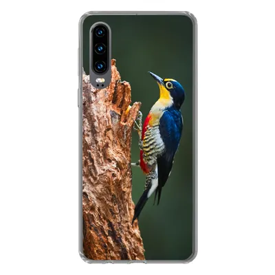 Produktbild von MuchoWow® Handyhülle Schutzhülle Hülle für Huawei P30 Nahaufnahme eines bunten Vogels auf der Seite eines Baumstamms Silikon Softcase Handy Hülle - Kartenbesitzer