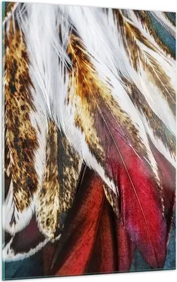 Produktbild von Bilder auf glas - Einteilig - Federn Federn Vogel - 50x70cm - Glasbilder - Wandbilder - Bilder - zum Aufhängen bereit - Wanddekoration aus Glas - Glas Bilder - Wandbild auf Glas - GPA50x70-3743