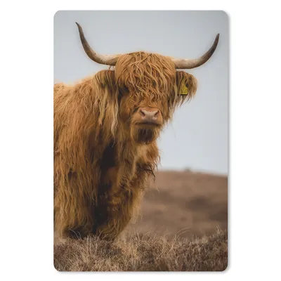Produktbild von MuchoWow® Mauspad Mousepad Schottischer Highlander - Düne - Gras 18x27 cm - Mousepads - Maus Mat - Pad - Mausunterlage