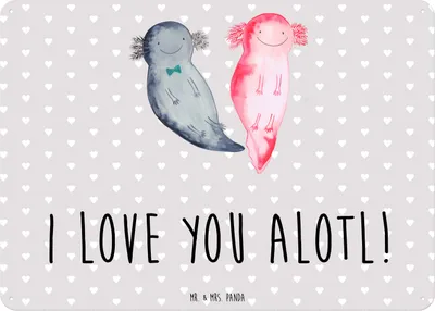 Produktbild von Mr. & Mrs. Panda tafel Axolotl Liebe DIN A6 - Grau Pastell - Geschenk, Türschild, Freundin, Schild, für, Frauen, Jahrestag, Wandbild, Blechtafel, Valentinstag, Partner