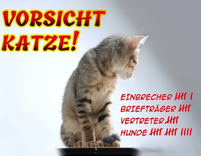 Produktbild von vianmo Holzschild 30x40 cm Vorsicht Katze Strichliste