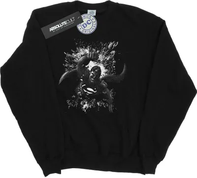 Produktbild von DC Comics - Sweatshirt für Herren BI19987 (3XL) (Schwarz)
