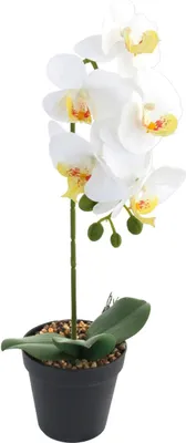 Produktbild von Künstliche Orchidee Weiss im Topf Höhe 40 cm Kunstblume Pflanze