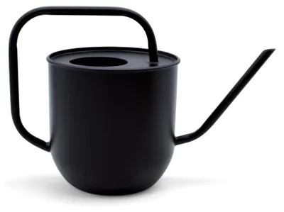 Produktbild von Metallische Gießkanne für Blumen in Schwarz Matt - 1,8 L - Gießkanne mit langem Ausguss - Elegante Wasserkanne für Zimmerpflanzen im Büro