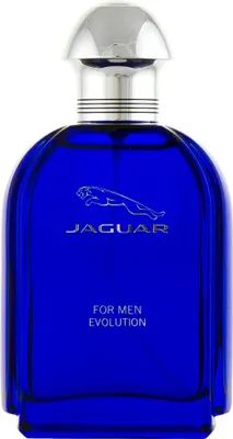 Obrázek produktu pro Jaguar For Men Evolution EDT 100 ml M