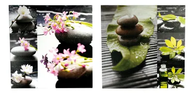 Produktbild von 2 Wandbilder Set Lotusblüten Feng Shui Wellness 2er Set Bild