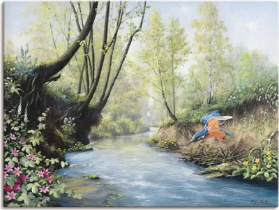 Produktbild von ARTland Leinwandbild Eisvogel III Größe: 80x60 cm