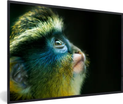 Produktbild von MuchoWow® MuchoWow® Gerahmtes Poster Affe - Fell - Schwarz 90x60 cm - Poster mit zchwarzem Bilderrahmen - Fotorahmen - Foto-Plakat