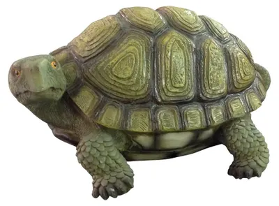Image de Tortue décorative pour jardin et espaces extérieurs