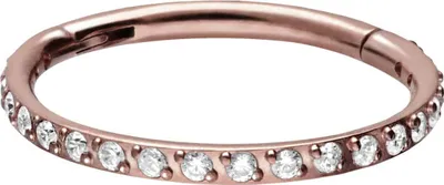 Produktbild von Ohrpiercing, Nasenpiercing, Septum Piercing Titan Segmentring Clicker EINGEFASSTE KRISTALLE RoséGold Innendurchmesser: 11mm + Stabstärke: 1,2mm