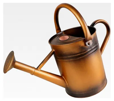 Produktbild von Metallgießkanne für Zimmerpflanzen 4l - Vintage Zink Gießkanne für den Garten