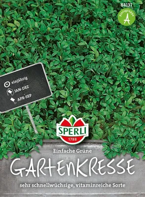 Produktbild von Kresse ''Einfache Grüne'' sehr schnellwüchsige, vitaminreiche Sorte