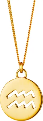 Produktbild von cai Halskette Wassermann Sternzeichen 925/- Sterling Silber vergoldet