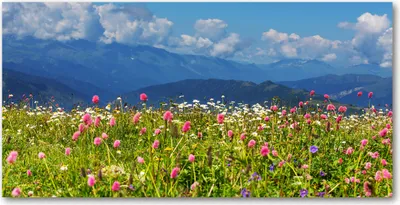 Produktbild von Tulup® Leinwandbild - 140x70 cm - Wandkunst - Drucke auf Leinwand - Leinwanddruck  - Landschaften - Mehrfarbig - Wiese Berge