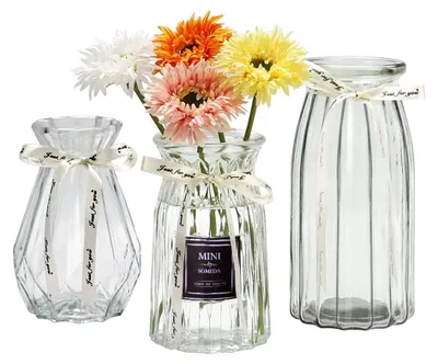3er-Set Blumenvasen, transparent, verschiedene Größen und Formen