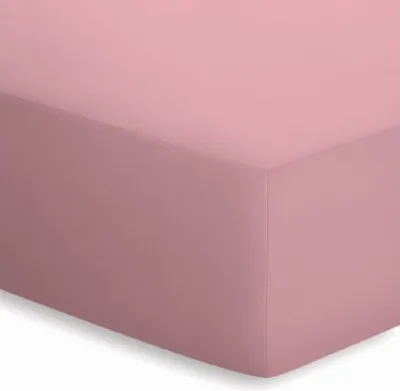 Produktbild von Schlafgut Jersey Spannbetttücher 140 - 160 x 200 Baumwolle Waschmaschinegeeignet