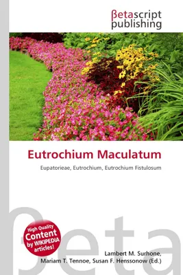 Produktbild von Eutrochium Maculatum