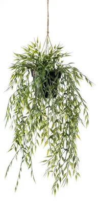 Produktbild von Kunstliche Pflanze - Bambus - Grun - 50 cm - Hangetopf
