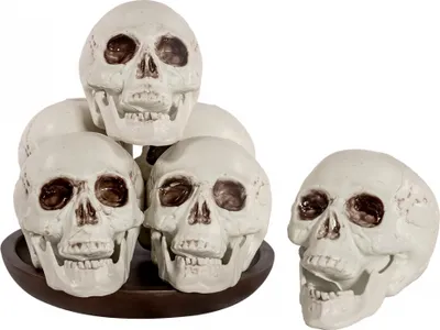 Produktbild von Realistische Totenschädel 12,5 cm im 6er-Set für Halloween