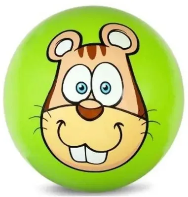 Immagine prodotto di Pallone in PVC da 230 mm - Świstak - Artyk