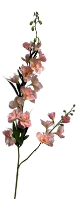 Image de Delphinium Real Touch 105 cm saumon