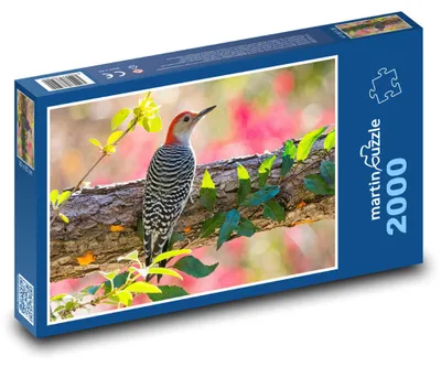 Zdjęcie produktu dla martinpuzzle - Puzzle 2000 - Datel rdzawobrzuchy