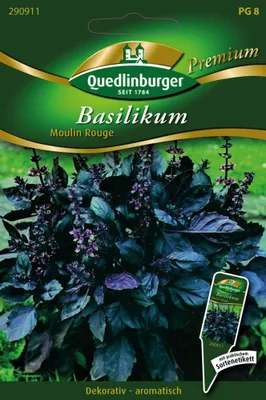 Immagine prodotto di Quedlinburg Basilico Moulin Rouge - Semi di erbe pregiate