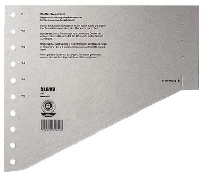 Image de Intercalaires Leitz, DIN A4 extra-larges, gris, carton kraft 200g/m², 100 pièces, 205 x 240 mm