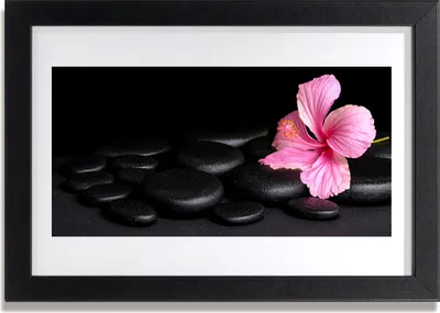 Produktbild von Bild 30x20 MDF-Rahmen Wandkunst Schwarz-Stein-Blumen