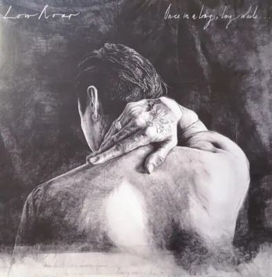 Zdjęcie produktu dla Low Roar - Once In A Long Long While (Reissue) (2 LP)