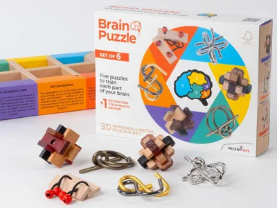 Produktbild von Recent Toys Brainpuzzle Set von 6