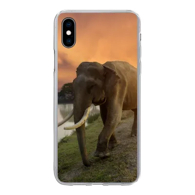 Produktbild von MuchoWow® Handyhülle Schutzhülle Hülle für iPhone Xs Elefant - Wasser - Tiere - Sonnenuntergang - Natur Silikon Softcase Handy Hülle - Handytasche