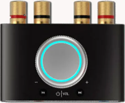 Immagine prodotto di Lepy-168mini Amplificatore 100W nero con spina USB