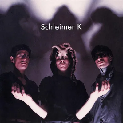 Produktbild von Schleimer K (rsd)