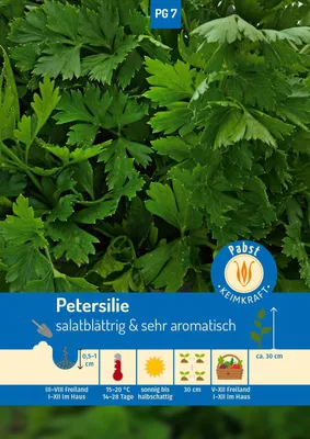 Artikelbild 1 von 'Petersilie Gigante d'Italia' aus der Kategorie Petersiliensamen