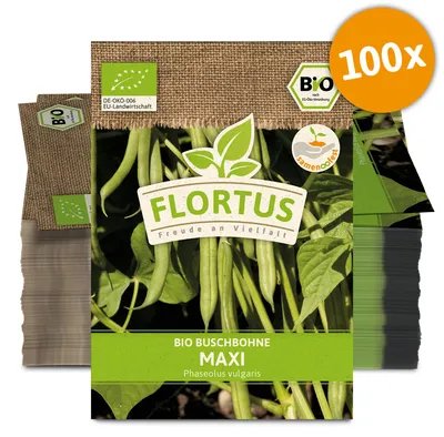 Artikelbild 1 von 'BIO Buschbohne Maxi (100 Stück)' aus der Kategorie Buschbohnensamen